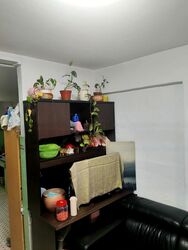 Blk 159 Toa Payoh Green (Toa Payoh), HDB 3 Rooms #469719581